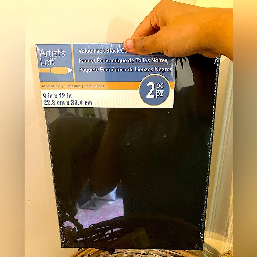 Artist's Loft Black Canvas Value Pack - new, 2